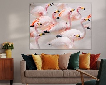 Flamingos in Bolivien: Pastellfarbene Stille von Caro van Kessel