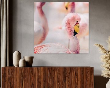 Elegant Flamingo: Pastel Serenity