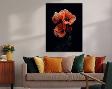 Poppy in bloom by Color Square