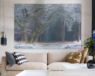 Winter forest avenue by René Jonkhout