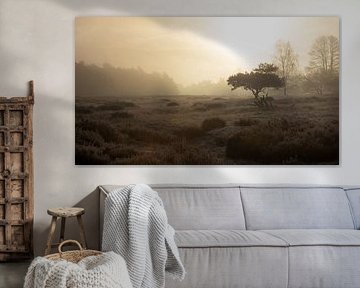Sunrise on the moors 2 by René Jonkhout