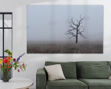 Lonely tree by René Jonkhout