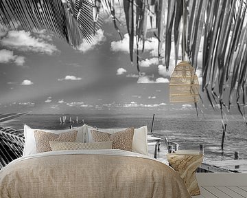 Caribbean summer in black and white