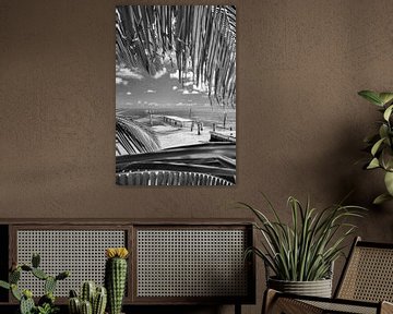 Caribische zomer in zwart-wit van Manfred Voss, Zwart-Wit Fotografie