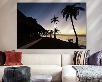 The sweetness of a tropical evening