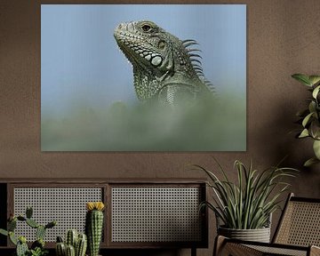 Portrait iguana