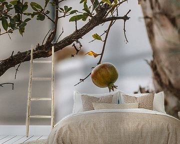 Granatapfel-Stillleben - Griechische Reisefotografie von MelCaptures