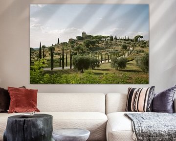 Tuscan hills and avenue of cypresses | Montepulciano by Eleana Tollenaar