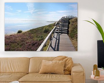 Heide und Dünenlandschaft auf Sylt