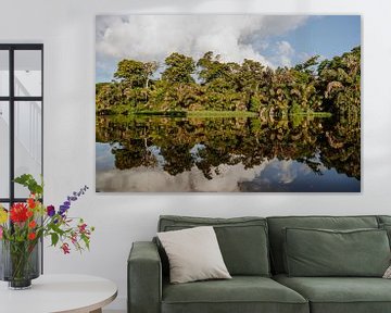 Reisfotografie “Reflectie” | Costa Rica | Midden Amerika | Tortugero | Groen | Water | Fotografie | Foto Print | Art Print van Estelle Bijker Fotografie