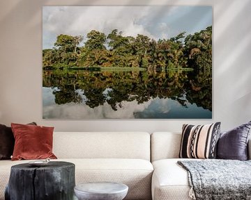 Reisfotografie “Reflectie” | Costa Rica | Midden Amerika | Tortugero | Groen | Water | Fotografie | Foto Print | Art Print van Estelle Bijker Fotografie