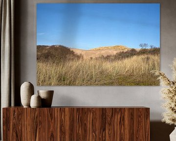 Nederlands duingbied met Afrikaanse uitstraling (natuurgebied Berkheide tussen Wassenaar en Katwijk) van Birgitte Bergman
