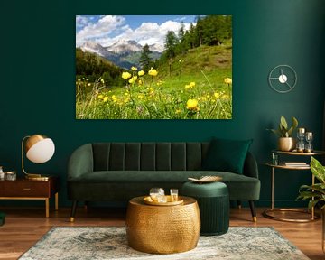 Alpenblick mit Trollblumen