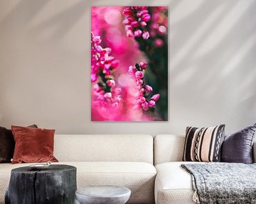 bloeiende heideplanten van stewic_