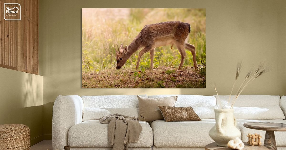 Een jonge ree in een duingebied van Rosetta Schiff op canvas, behang en ...