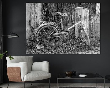 De natuur neemt een oude fiets terug, zwart-wit kunstontwerp van Animaflora PicsStock