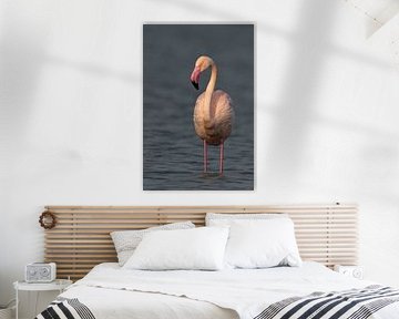Natuurfotografie