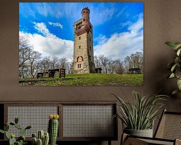 Uitzicht op de Moltkewarte in de Harz van Andreas Völkel