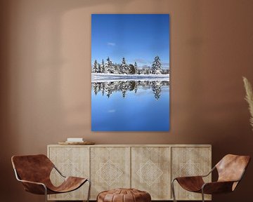 Winter reflection on the lake by Claude Laprise