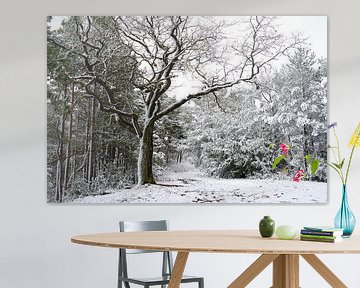 Na een sneeuwstorm. van Sergej Schmidt