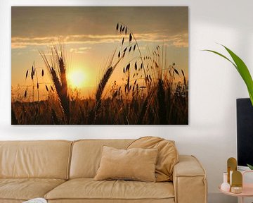 Sunset over the cornfield by SusaZoom
