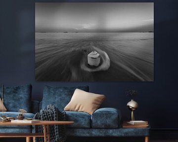 De kokosnoot en de zee - een symbool van tropische harmonie