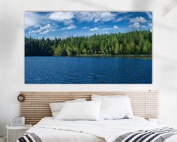 Meer in Zweden met witte wolken, blauw water en bomen aan de oever