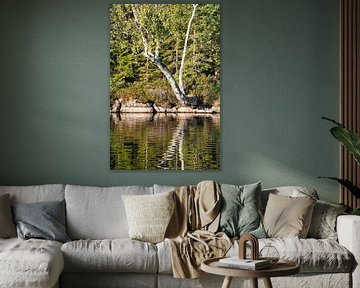 Meer in Zweden met bomen aan de oever