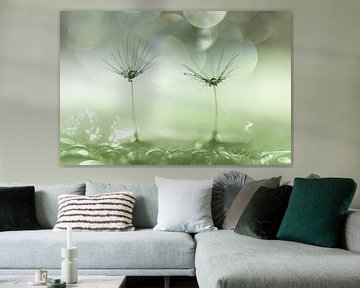 Löwenzahnflaum mit Wassertropfen grün von Patricia van Kuik