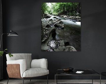 in het Schwarzatal in het Thüringer Woud van Studio17