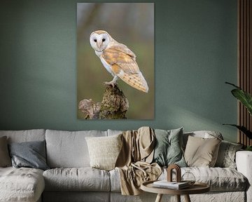 Nature photography