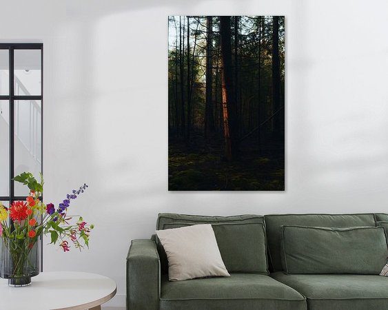 Aperçu de la chambre