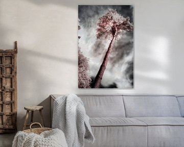 Surreale mystische rosa Baum-Infrarotfotografie