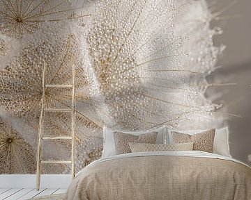 Natural serenity: Close-up of fluff of a Tragopogon by Marjolijn van den Berg