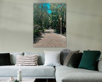 Serene walking route by Life’s beauty