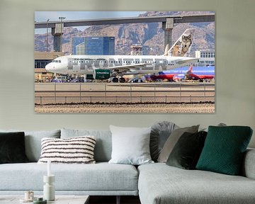 Frontier Airlines Airbus A319-100. van Jaap van den Berg