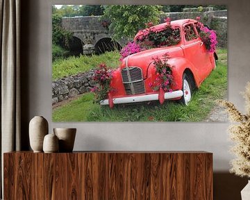 Auto als bloemenbak in Ierland van Yria Meijer