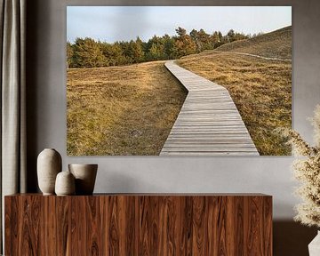 Houten pad door de duinen bij de Baltische Zee