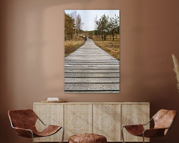 Houten pad door de duinen bij de Baltische Zee