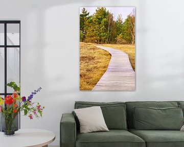 Houten pad door de duinen bij de Baltische Zee