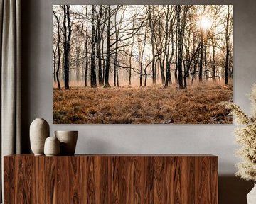Zonnestralen door de Mist Mystiek Bos in de Ochtend Griendtsveen de Peel van Femke Ketelaar