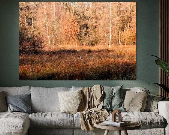 Aperçu de la chambre