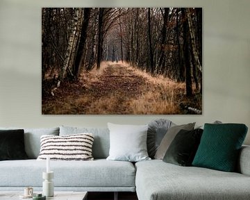 Het Pad door het Bos Mystieke Rust in de Herfst van Femke Ketelaar