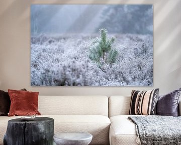 Bevroren Heide Jong Dennenboompje in Winterse Stilte van Femke Ketelaar