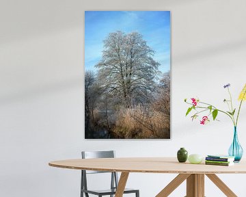 Idyllisch winterlandschap bij de rivier de Paar van ManfredFotos