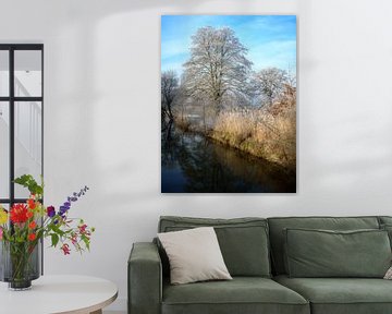 Idyllisch winterlandschap bij de rivier de Paar van ManfredFotos