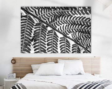 Symétrie de la lame de la fougère en noir et blanc sur Tessa Louwerens