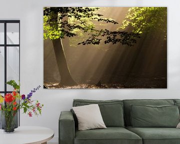 Voor de liefde van zonneharpen van Shotz by Mindy