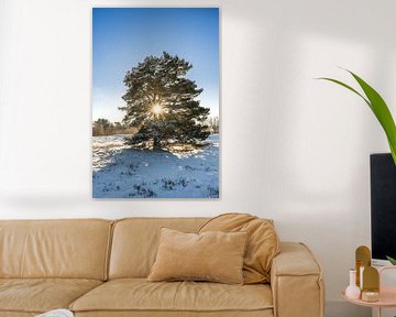 Grove den in de winter tijdens de zonsopkomst van John van de Gazelle fotografie
