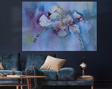 Orchidées de rêve sur Anja Zinken Bertens